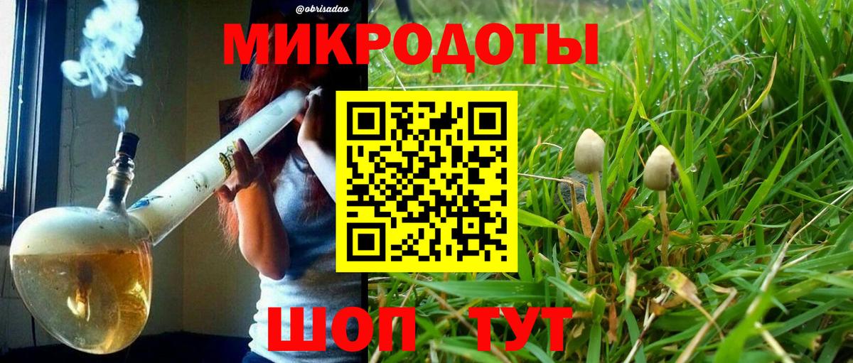 Псилоцибиновые грибы MAGIC MUSHROOMS  дарнет шоп  Тара  Вход с VPN 