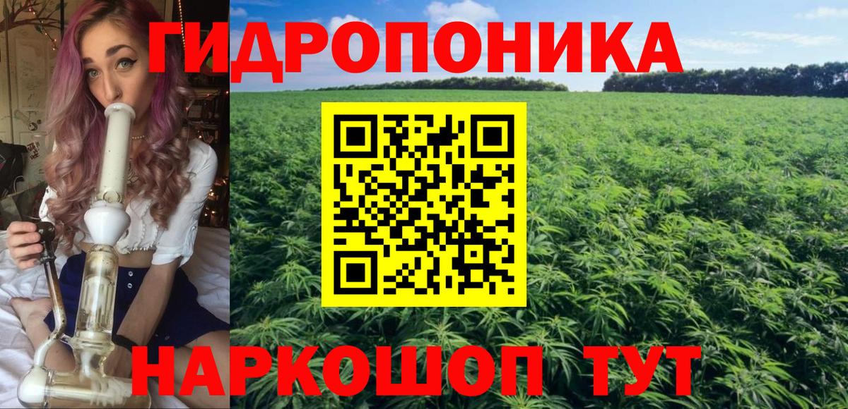 Шишки марихуана White Widow Тара